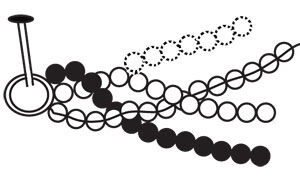 Diagram of beaded strands being braided